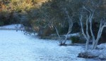 Lake McKenzie shoreline after initial infrastructure removal in August.