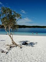 Fraser Island