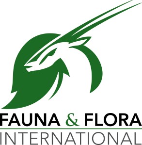 ffi_new_logo_text_below_colour