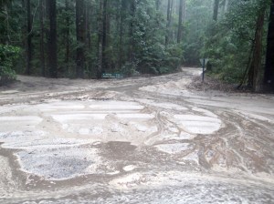 Sediment movement observed at the intersection of Central Station, Eurong and the Lake McKenzie link road during the passing of Cyclone Marcia.  One event moved countless tonnes of sand