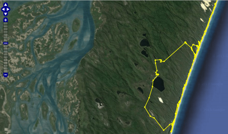 Movement patterns of a dingo fitted with a satellite tracking collar over a four-day period.