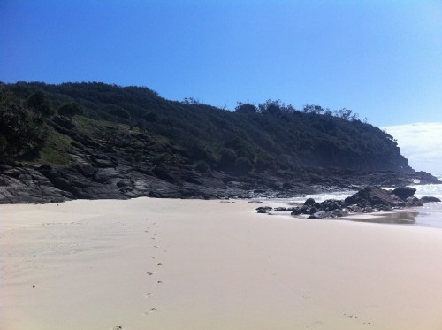 The input of Butchulla knowledge holders is contributing to the management of Takky Wooroo (Indian Head)