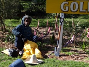Joe Gala was one of the three Butchulla to attend the inaugural 2005 FINIA meeting. He was recently photographed helping improve the natural integrity of Eurong