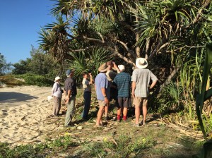 jamella biocontrol release