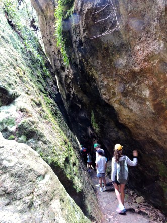 Springbrook National Park.jpg