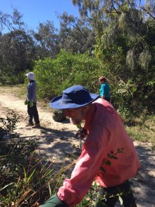 FIDOVolsTacleLantana_july2018