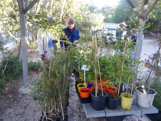 GreatPlantGiveaway_July2018