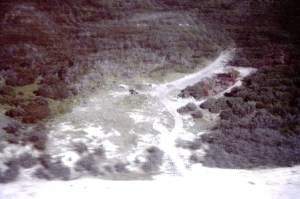 RubbishGoneScarred_1985