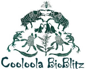 Bioblitz