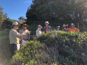 HappyValleyInduction