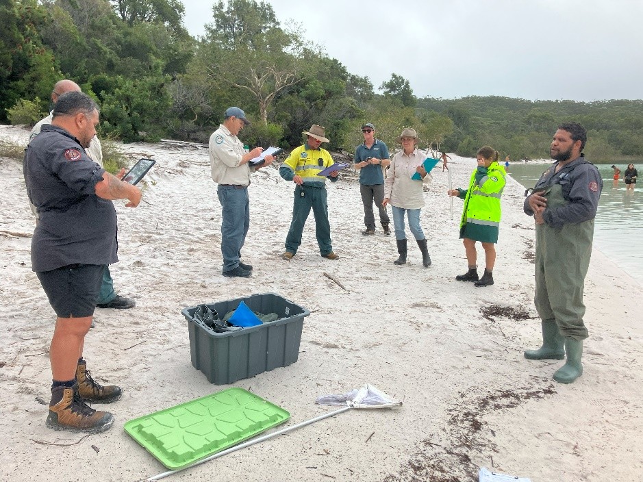 K’gari Post-Cyclone Ecological Impact Assessment « FINIA
